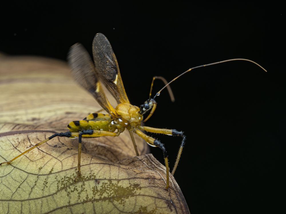 Prepare for take off!