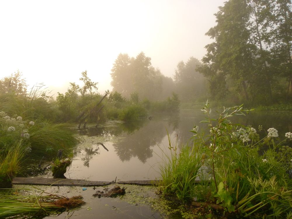 Photo #6320730