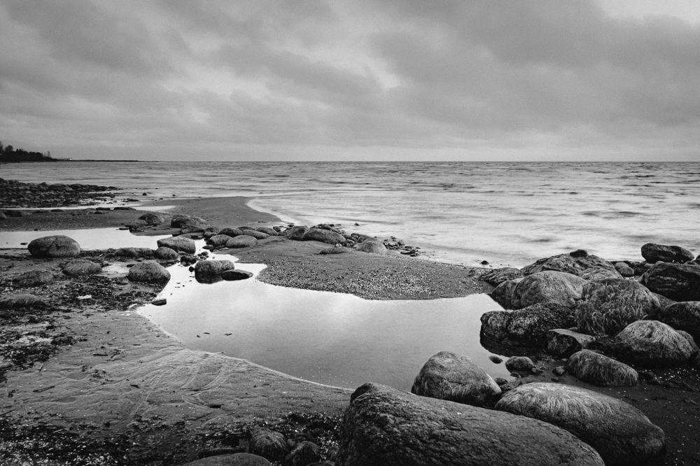 Photograph by Silja Tamme