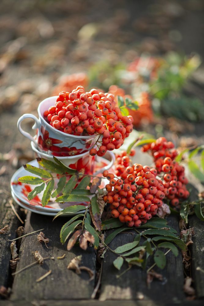 Photograph by Елена Косинова