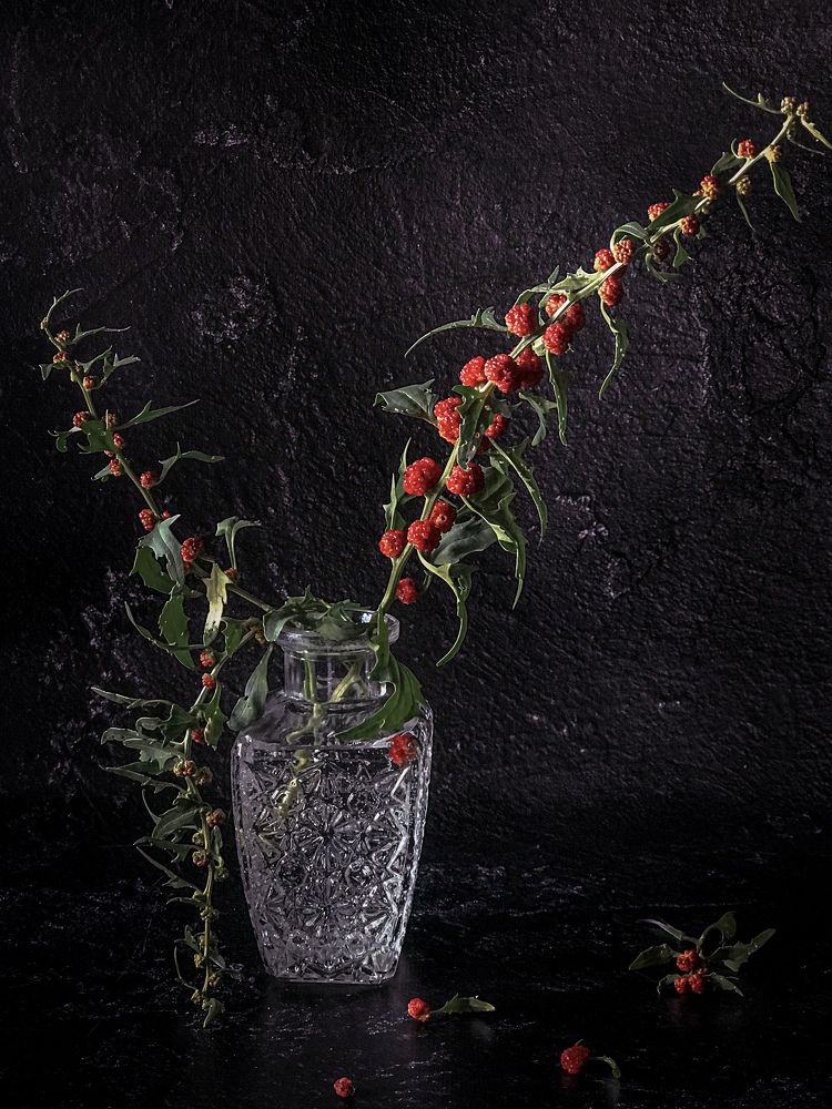 Photograph by Наталья Перерва