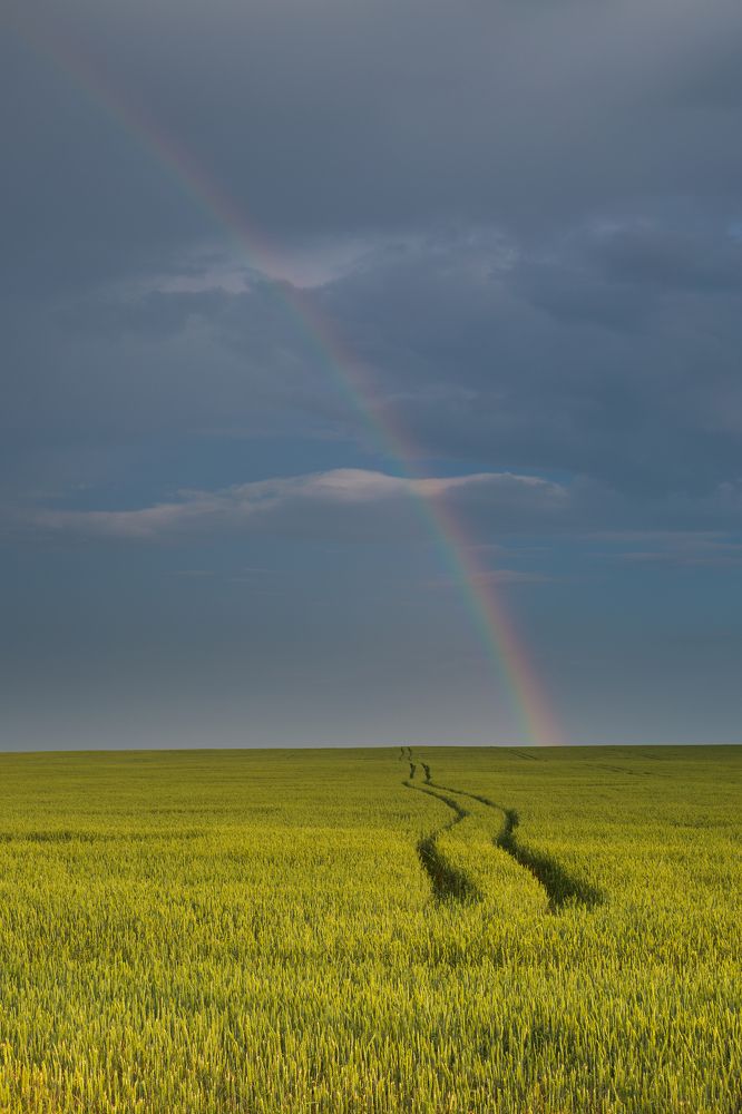 Photograph by Алексей Худяков