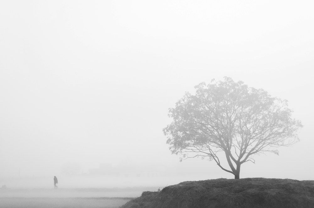 Photograph by Rashid Khan