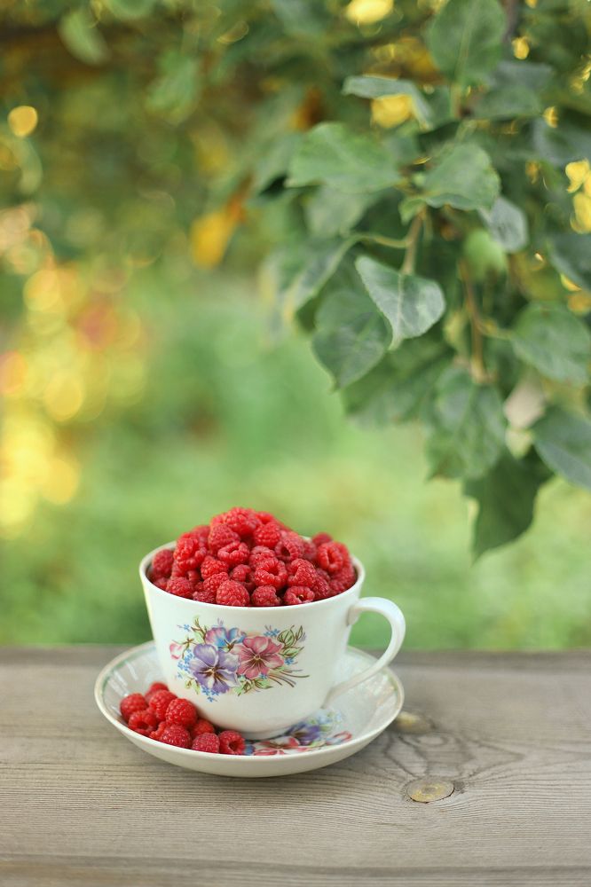 Photograph by Олеся Кучерова