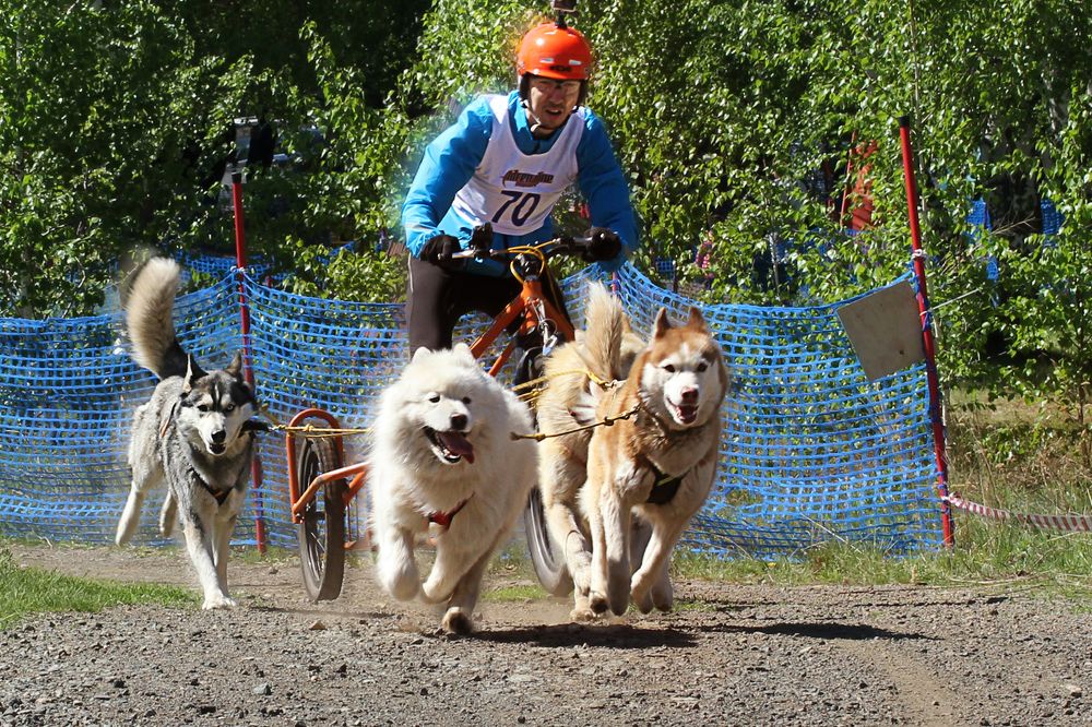 Photograph by Валерий Шорохов