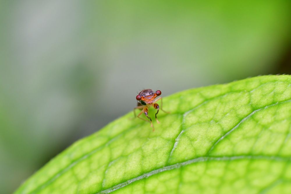 Photograph by Nikhil Gaikwad