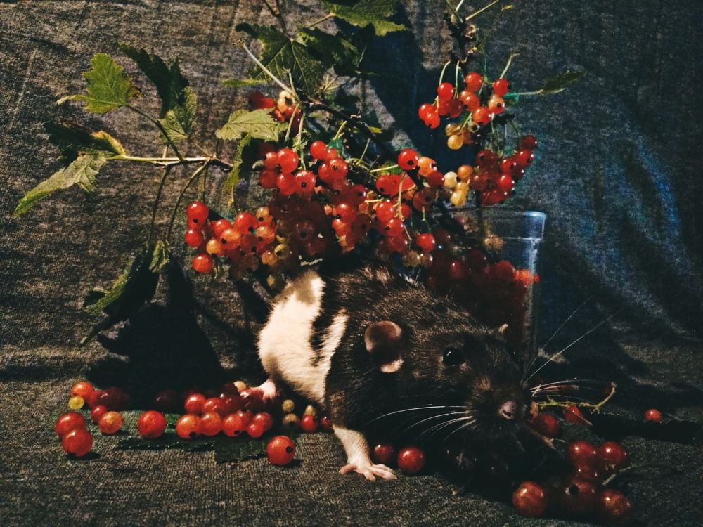 Photograph by Дарья Ермакова