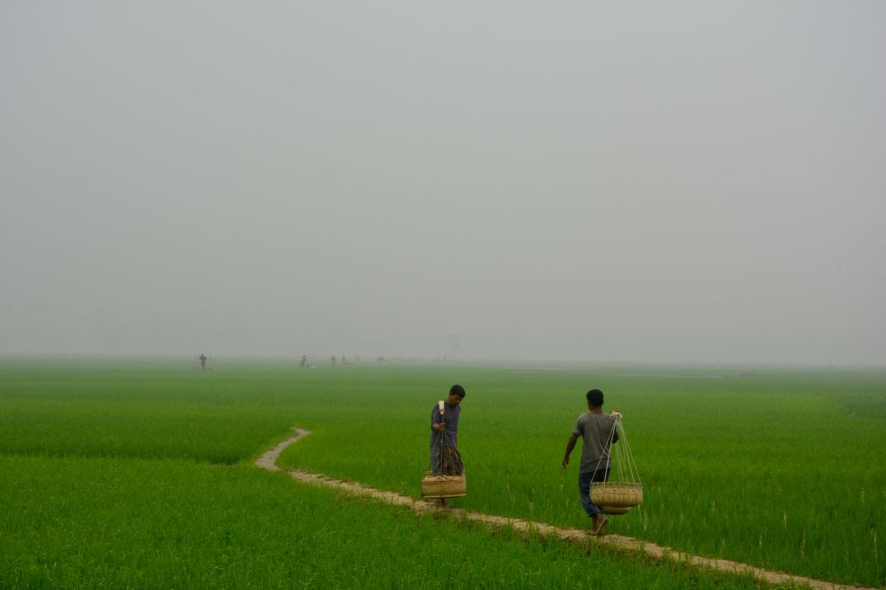 Photograph by Shadhin Badsha