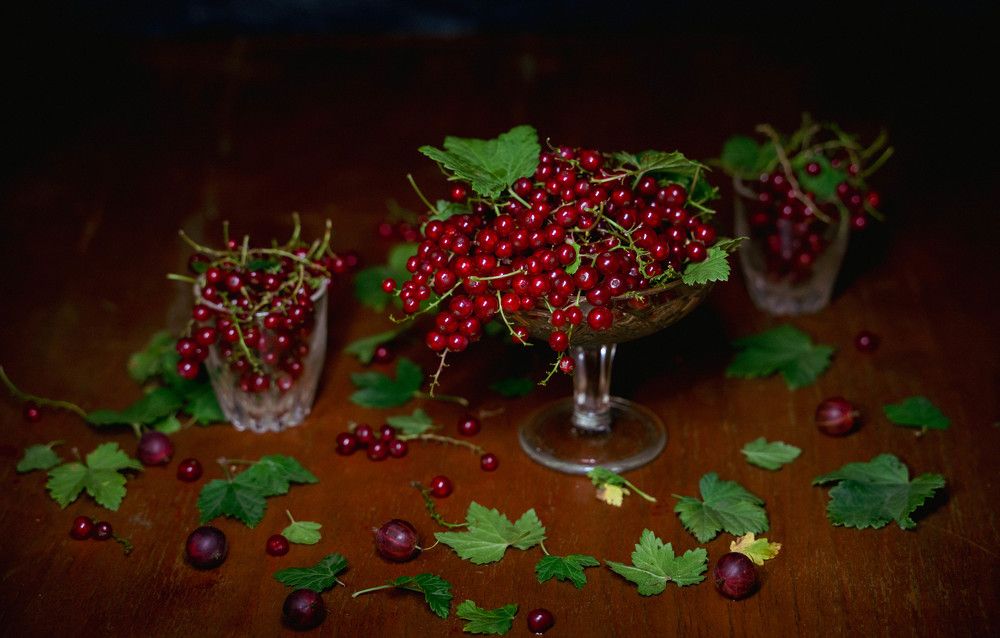 Photograph by Ирина Умиленко