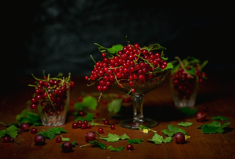 Photograph by Ирина Умиленко