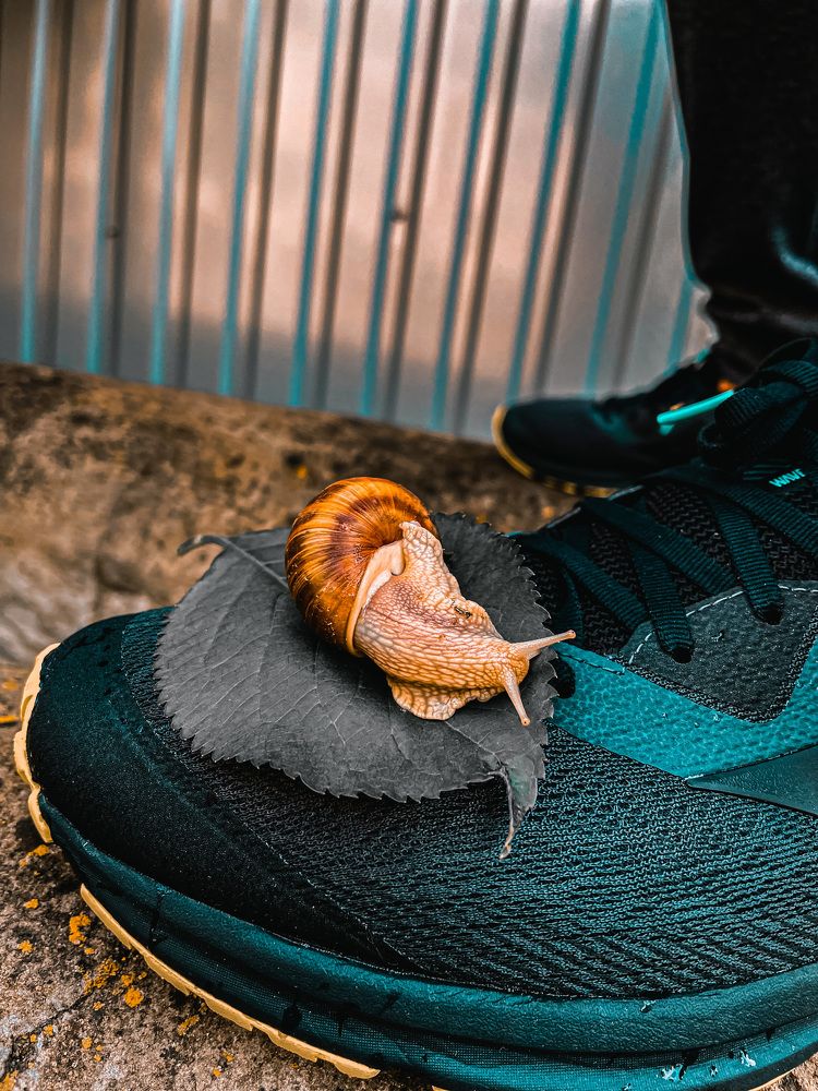 Photograph by Марина Моисей