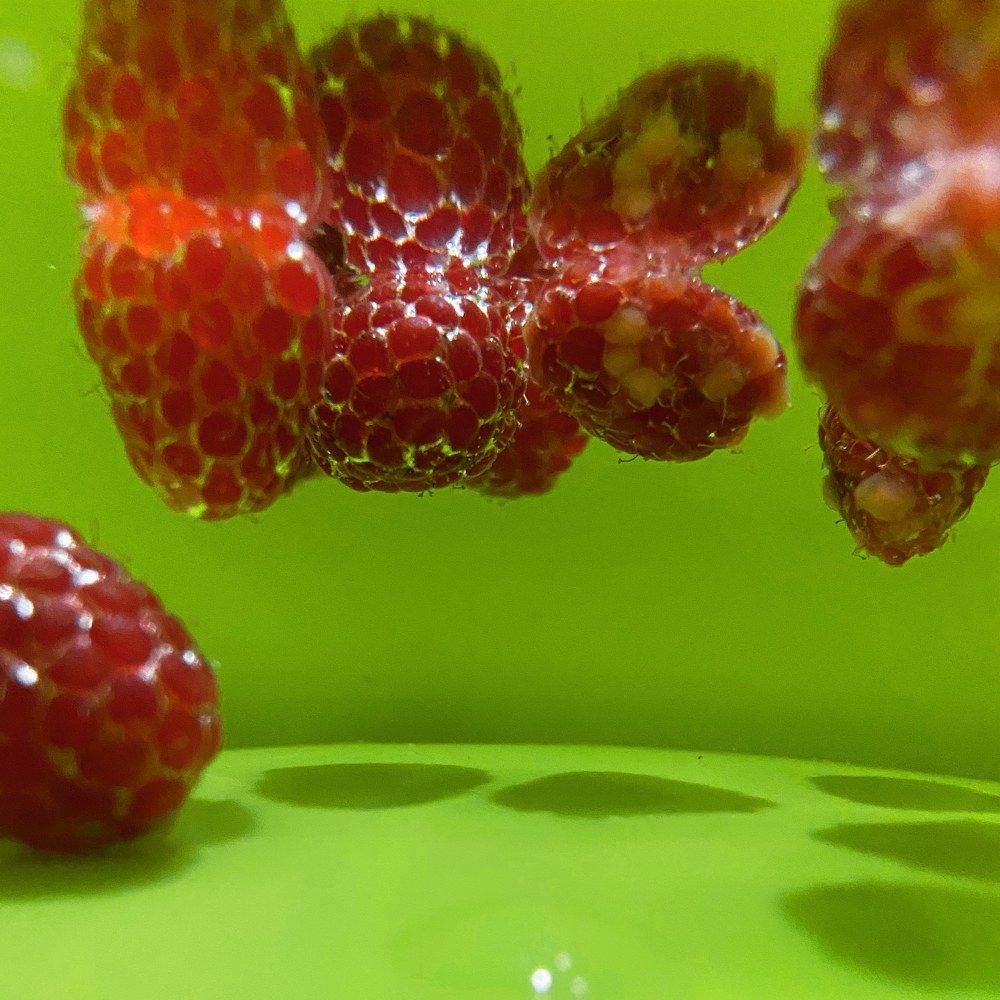 Photograph by Владислав Кулаков