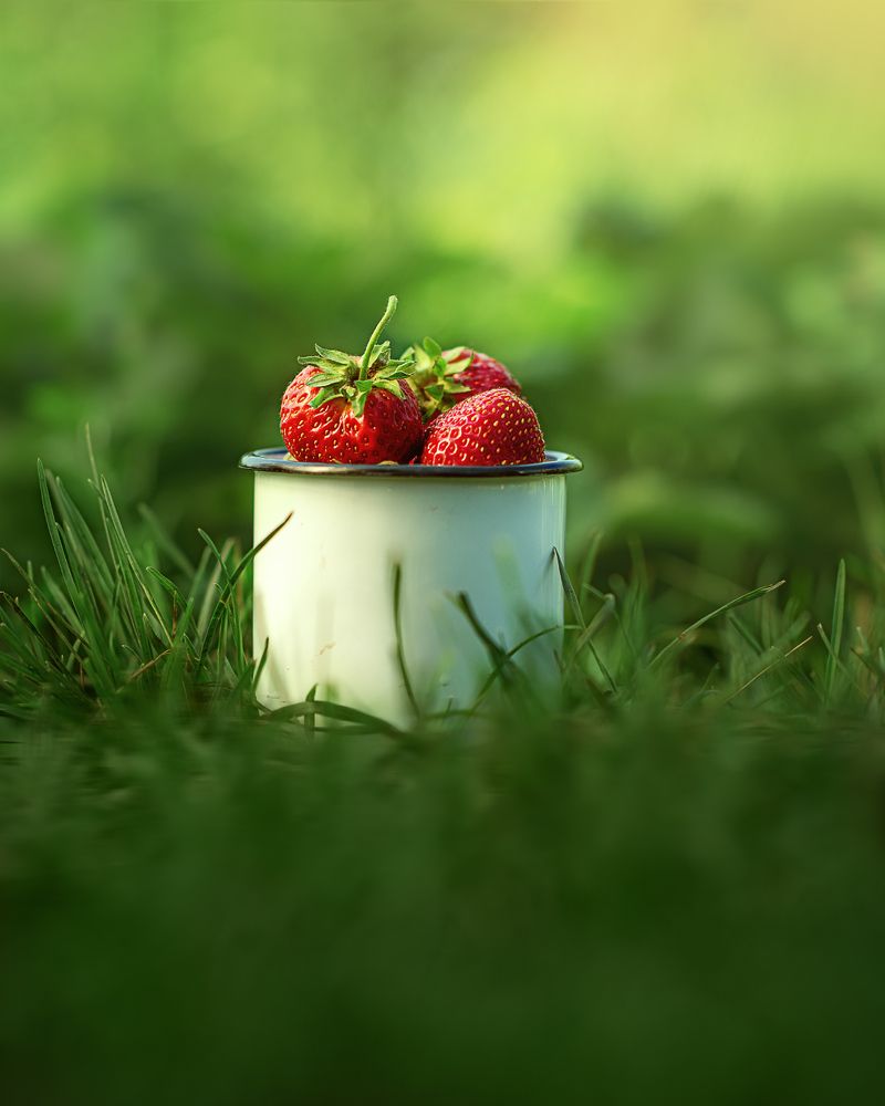 Фотография автора Елена Баклач