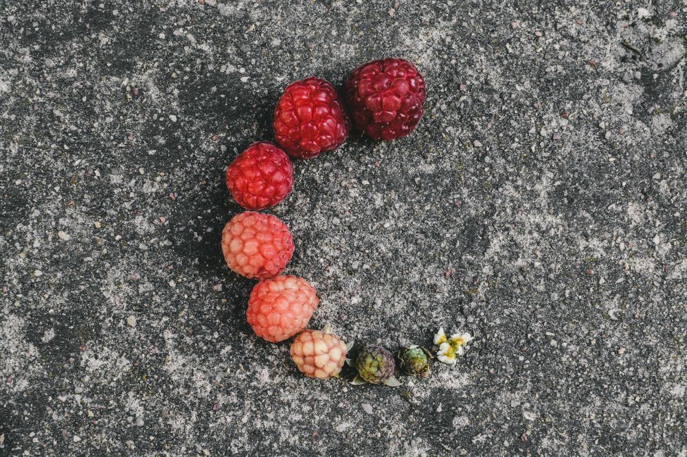 Photograph by Olga Denisenok