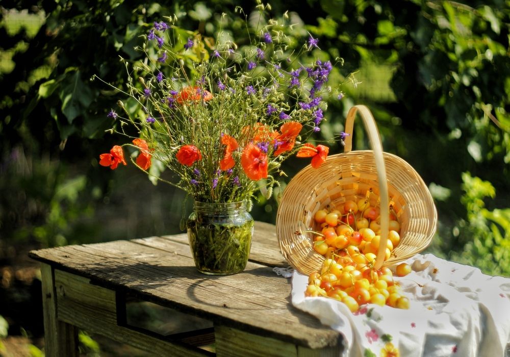 Photograph by Наталья Исиченко