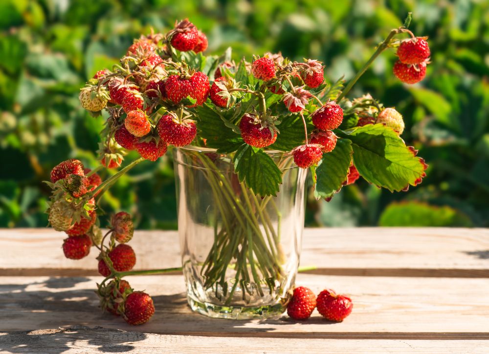 Photograph by Олег Зальвовский