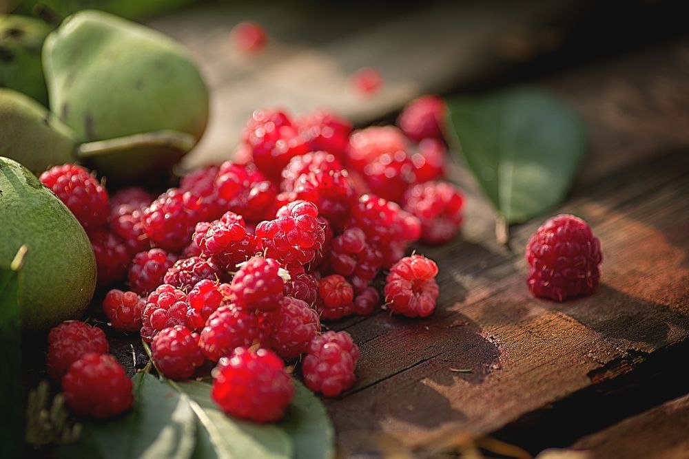 Photograph by Grigorev Andrey