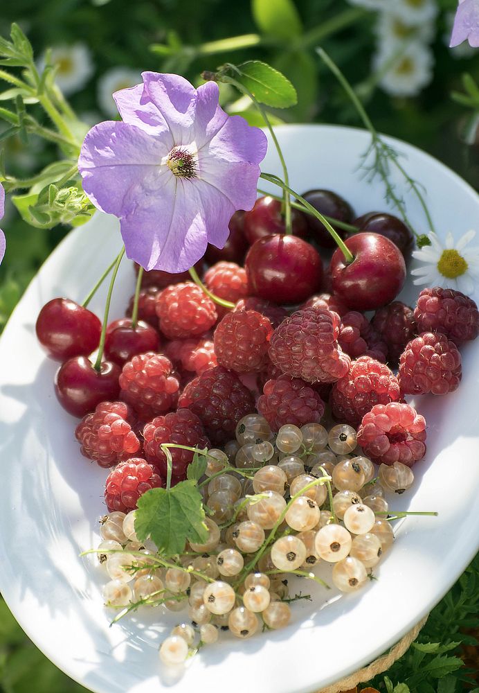 Photograph by Наталья Вялых