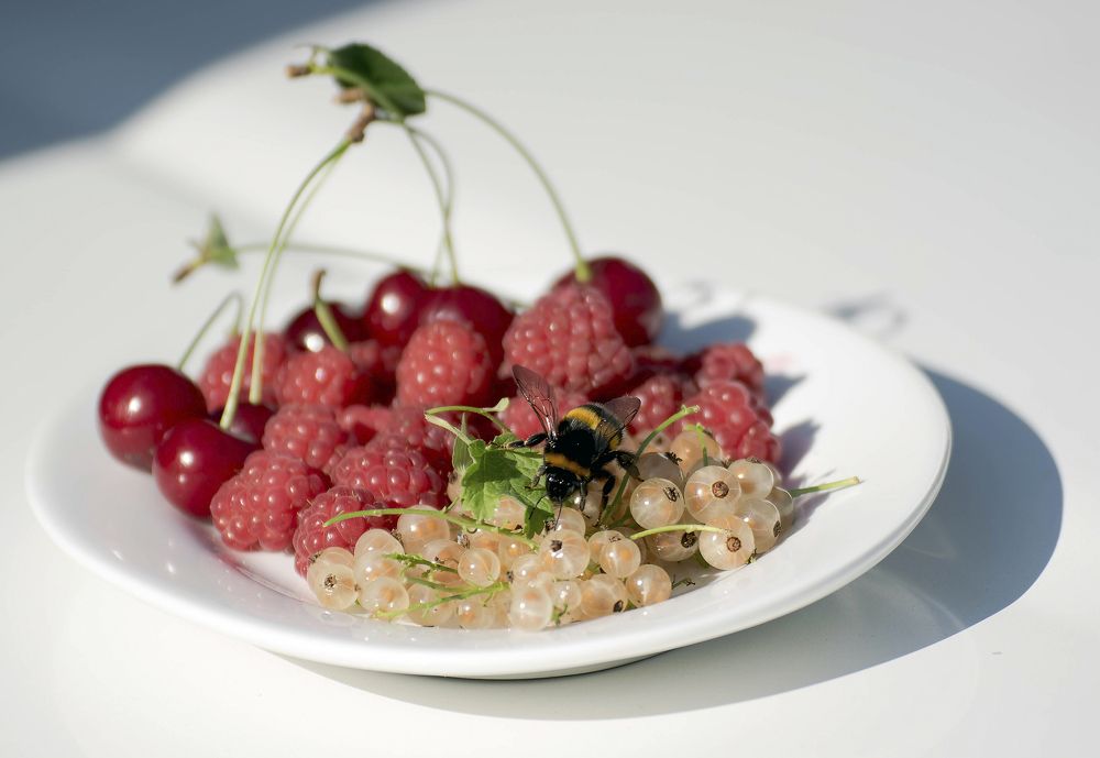 Photograph by Наталья Вялых