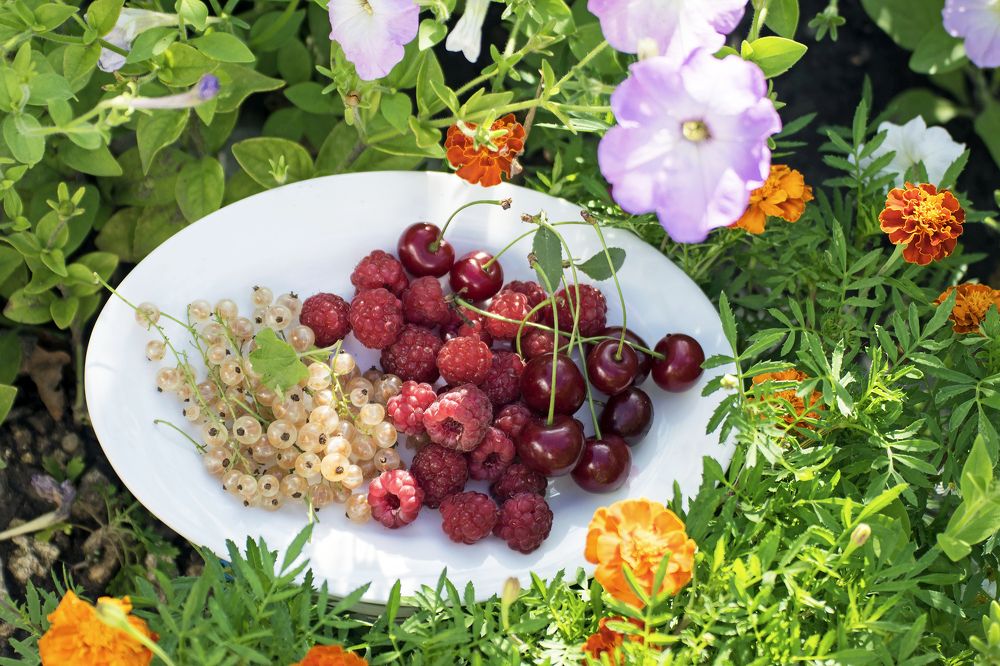 Photograph by Наталья Вялых