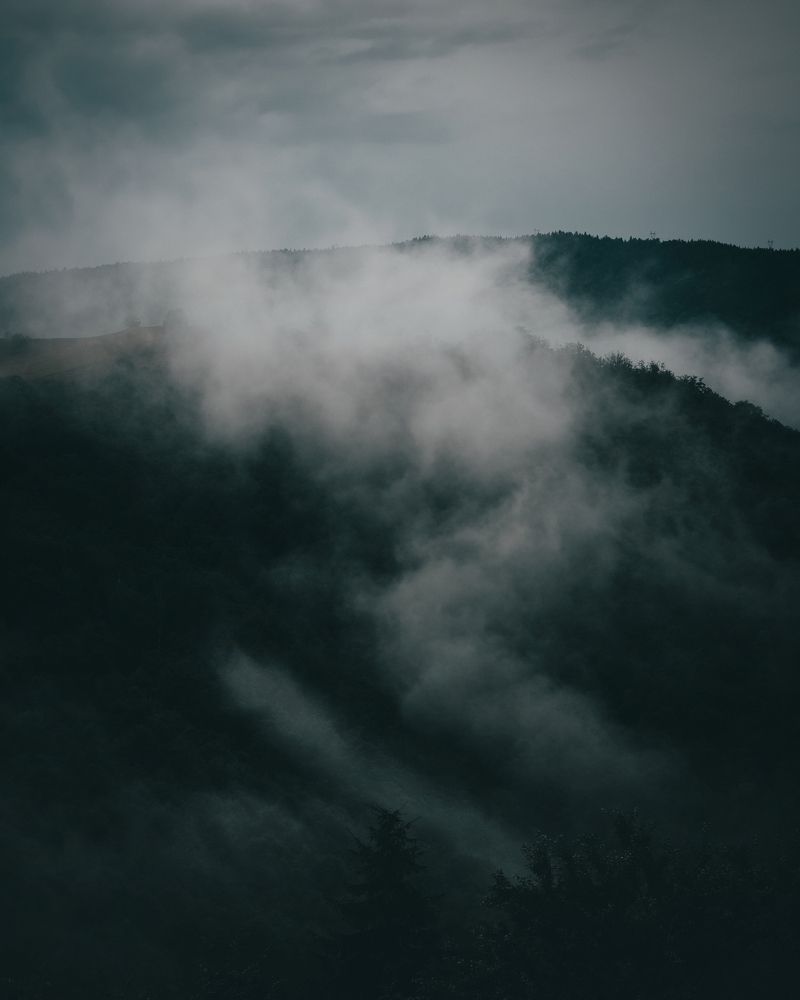 Photograph by Balog Francisc Sebastian