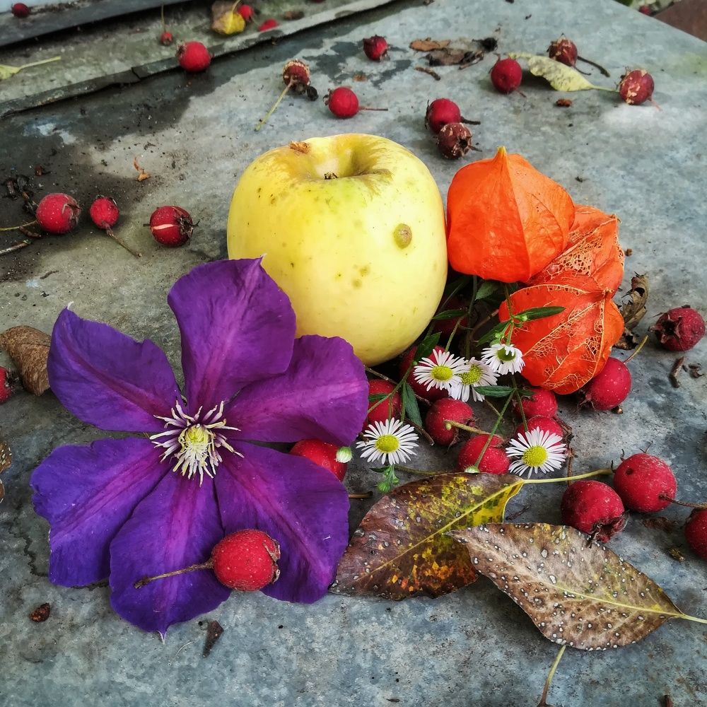 Photograph by Наталья Егорова