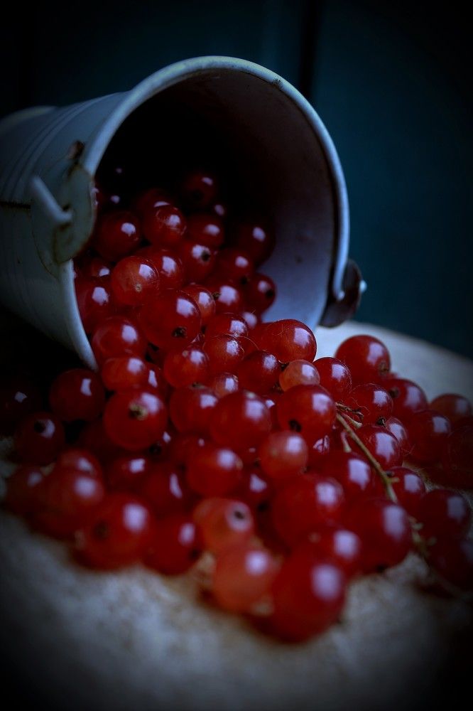Photograph by Ксения Красина