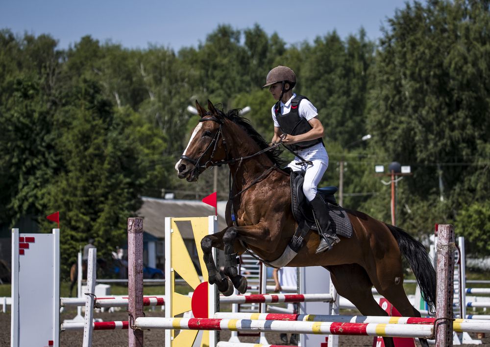 Photograph by наталья залогина