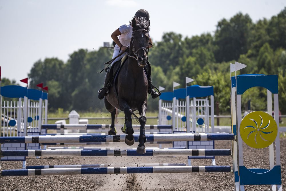 Photograph by наталья залогина