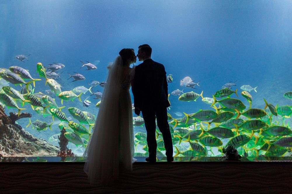 В океан любви....