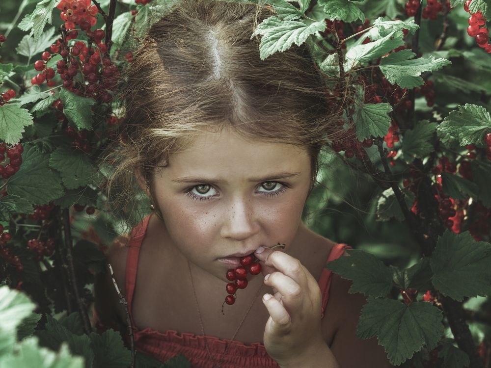 Photograph by Алексей Сологубов