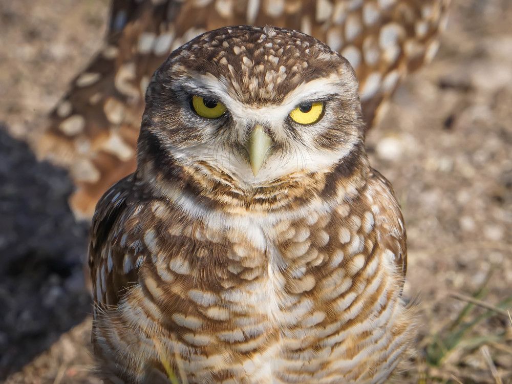 Photograph by Karina Elena Bergagna