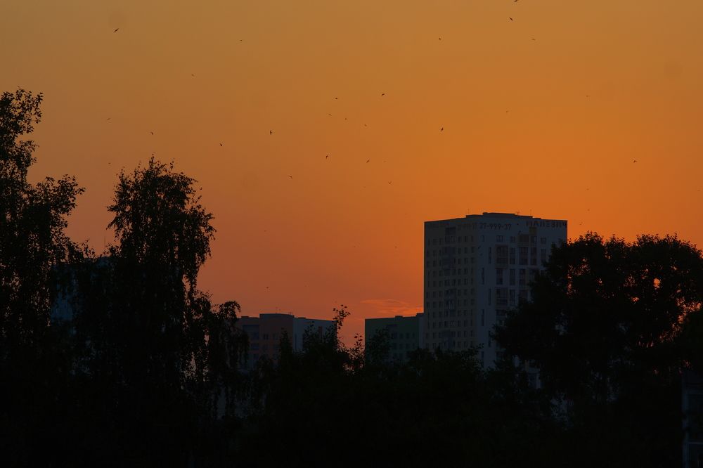 Photograph by Андрей Тюков