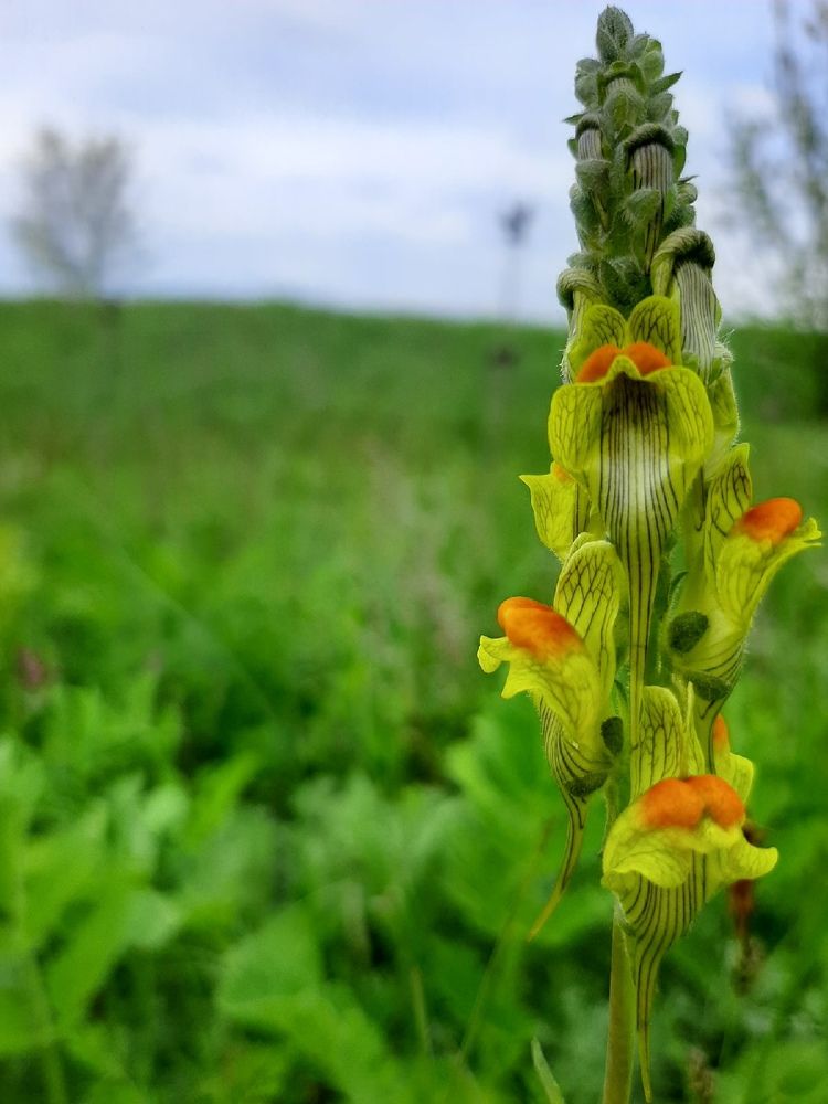 Photograph by Алина Кабакова