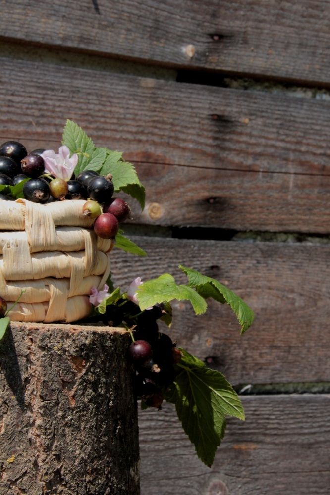 Photograph by Юлия Журавлёва