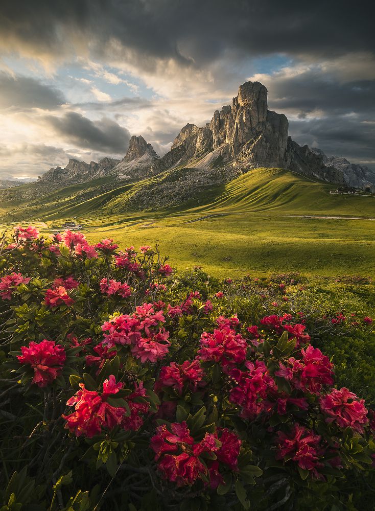 Photograph by Roksolyana Hilevych