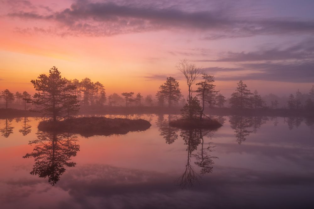 Photograph by Элвис Антсон