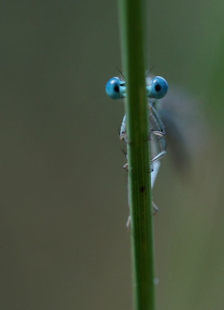 Photograph by Андрей Шартов