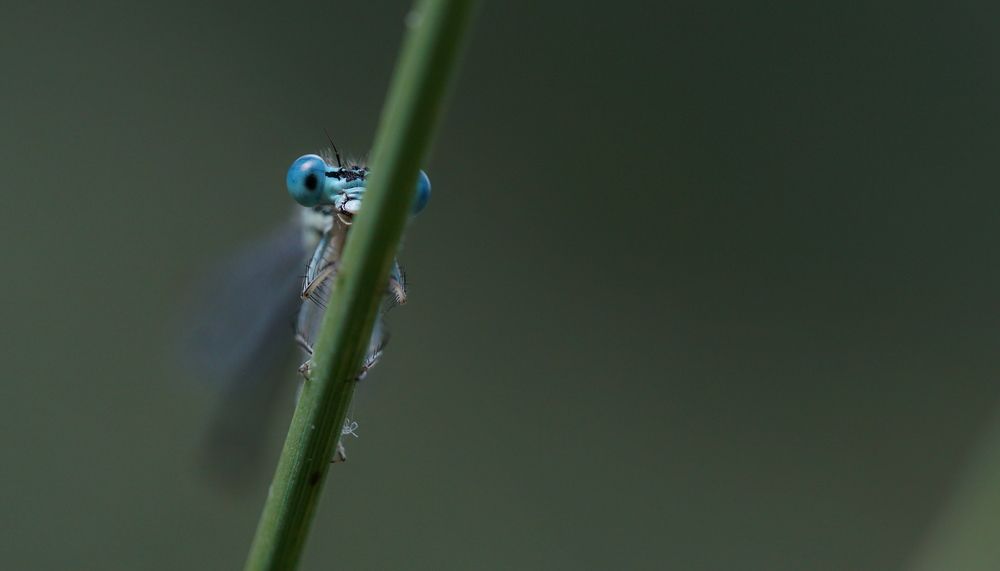 Photograph by Андрей Шартов