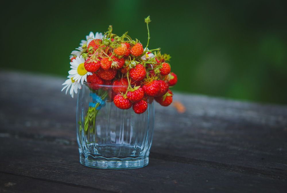 Photograph by Татьяна Шандромайло