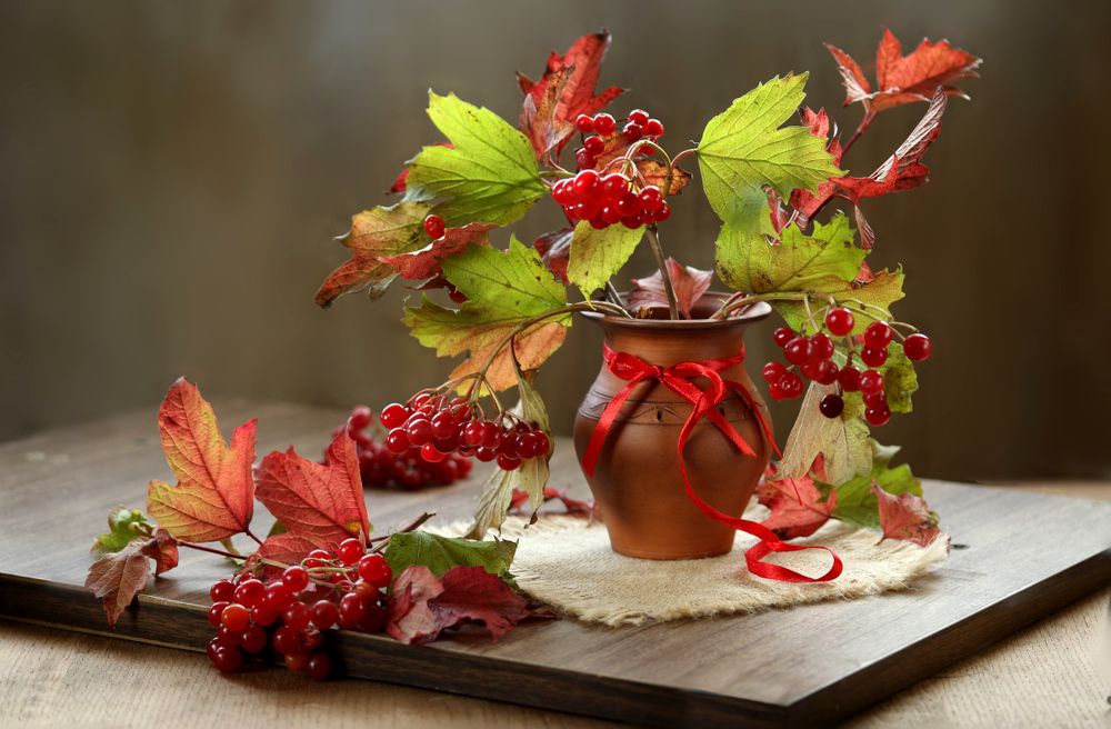 Photograph by Шруб (Беляева) Татьяна