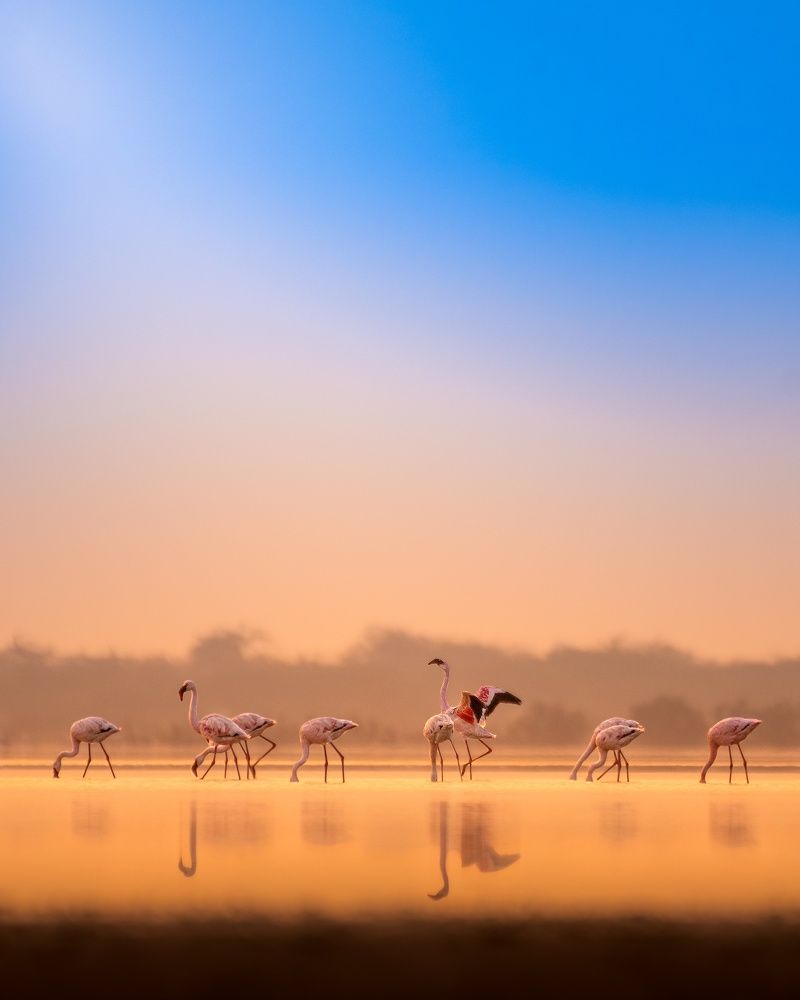 Photograph by parth kansara