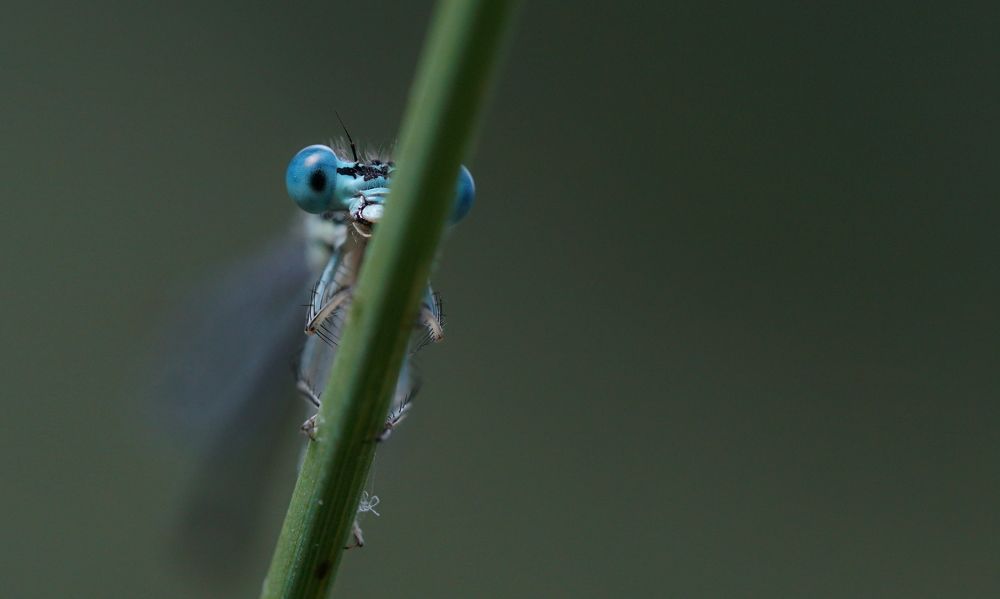 Photograph by Андрей Шартов