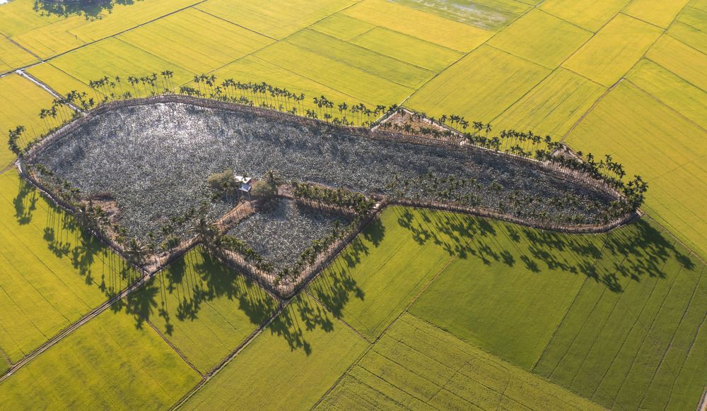 ĐỒNG QUÊ VIỆT NAM