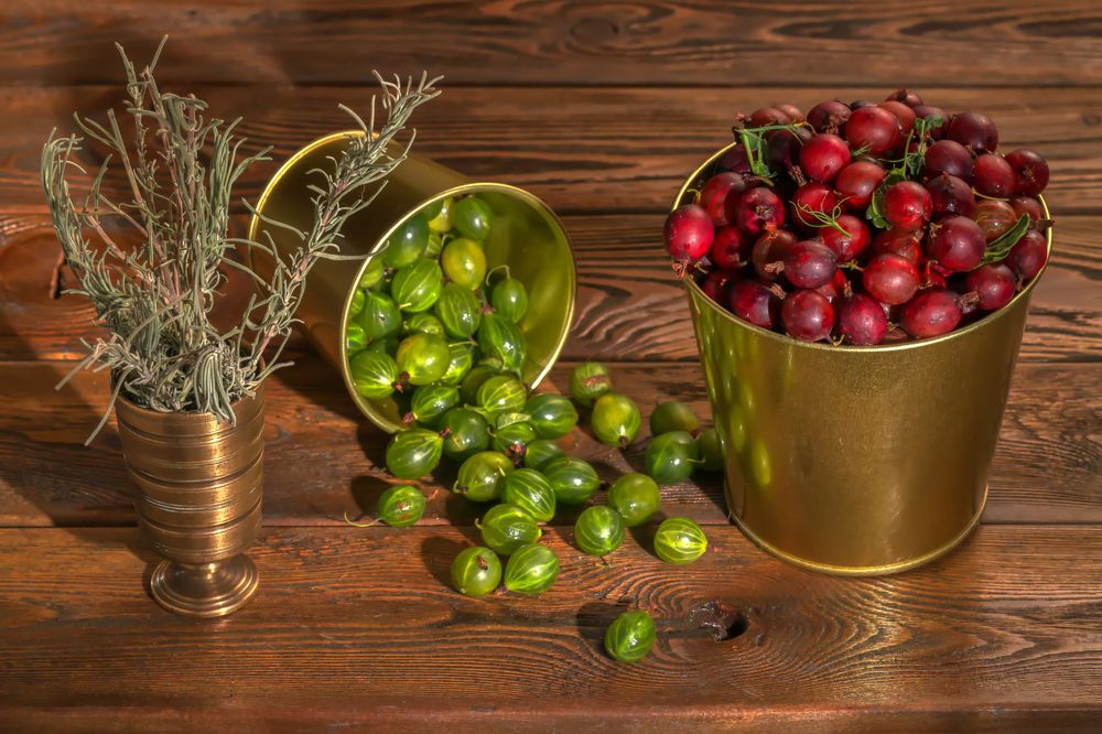 Photograph by Юрий Левко