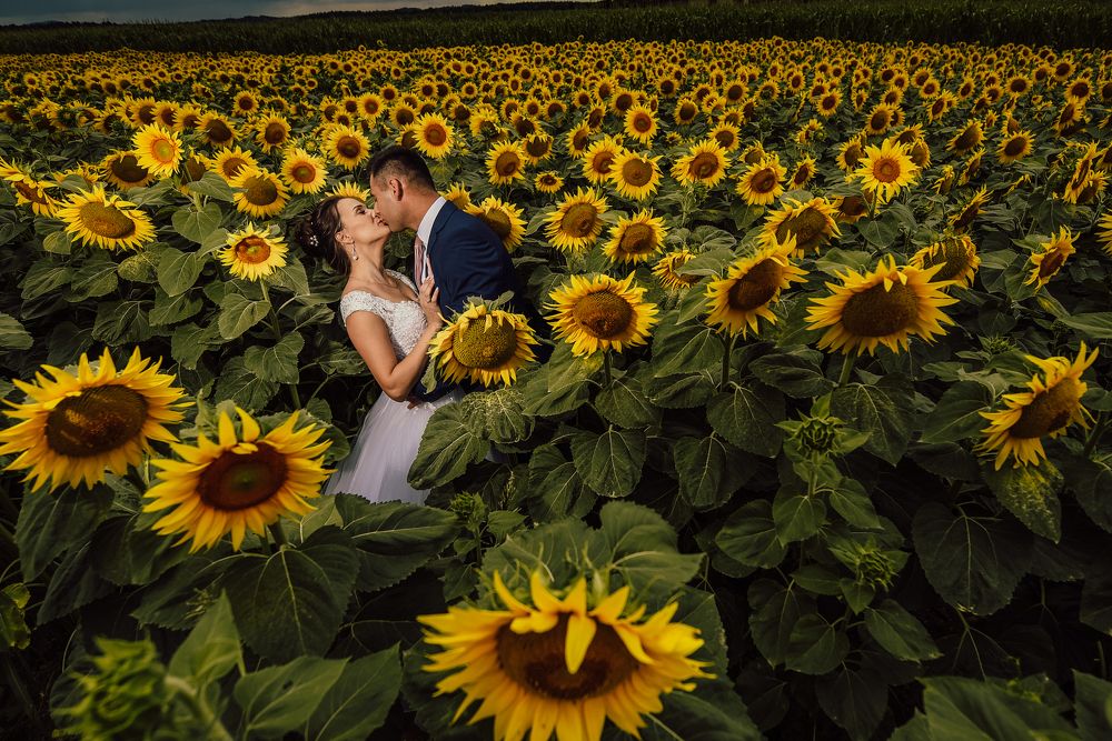 Photograph by Bojan Migač