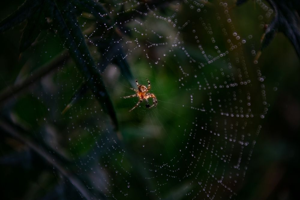 Photograph by Vitalii Kaznin