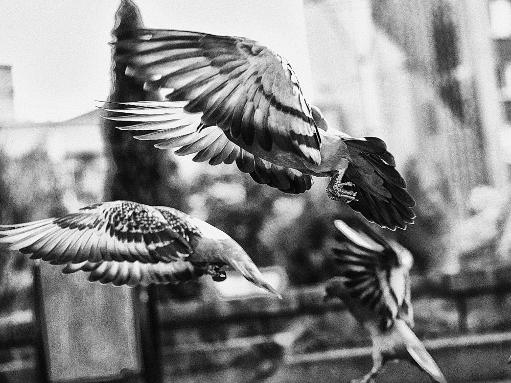 Фотография автора Галина Куркина