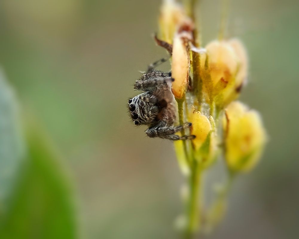 Photograph by Максим Лапин