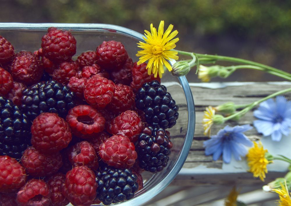 Photograph by Tatevik Tananyan